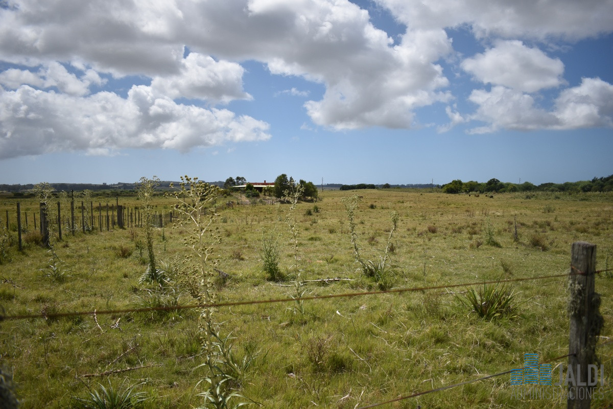 Campo Ref.4 - VENTA CAMPO GANADERO - TURÍSTICO 