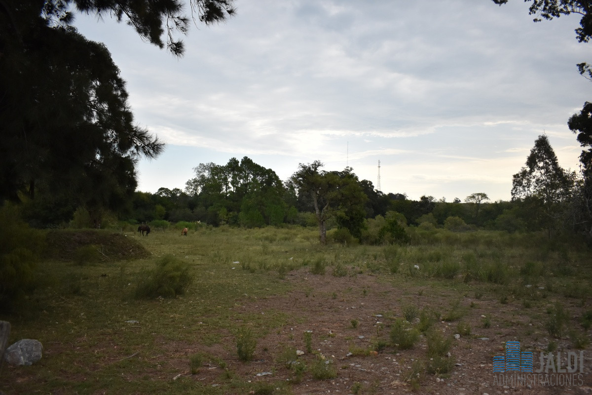 Campo Ref.80 - CAMPO 7 HAS EN VENTA MALDONADO