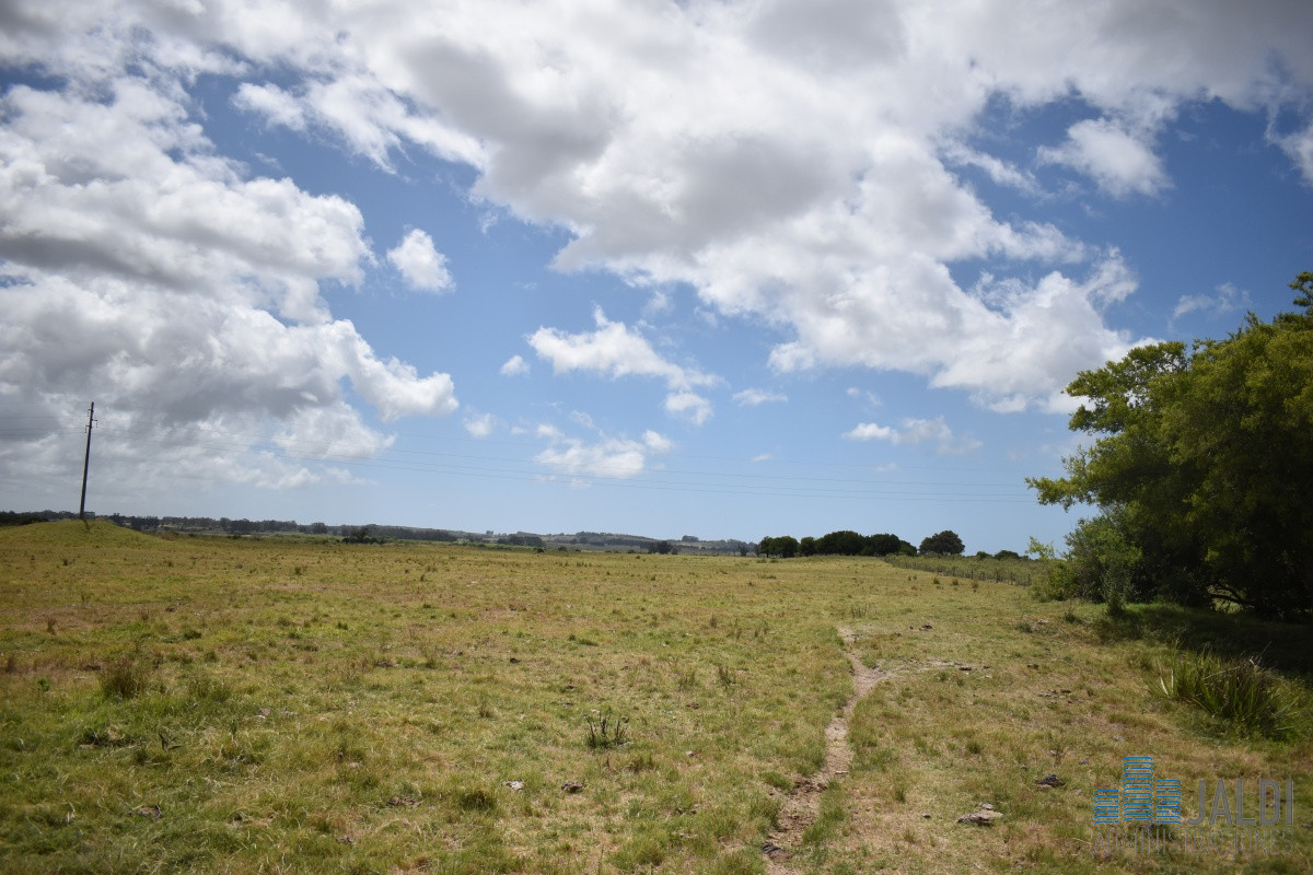 Campo Ref.4 - VENTA CAMPO GANADERO - TURÍSTICO 