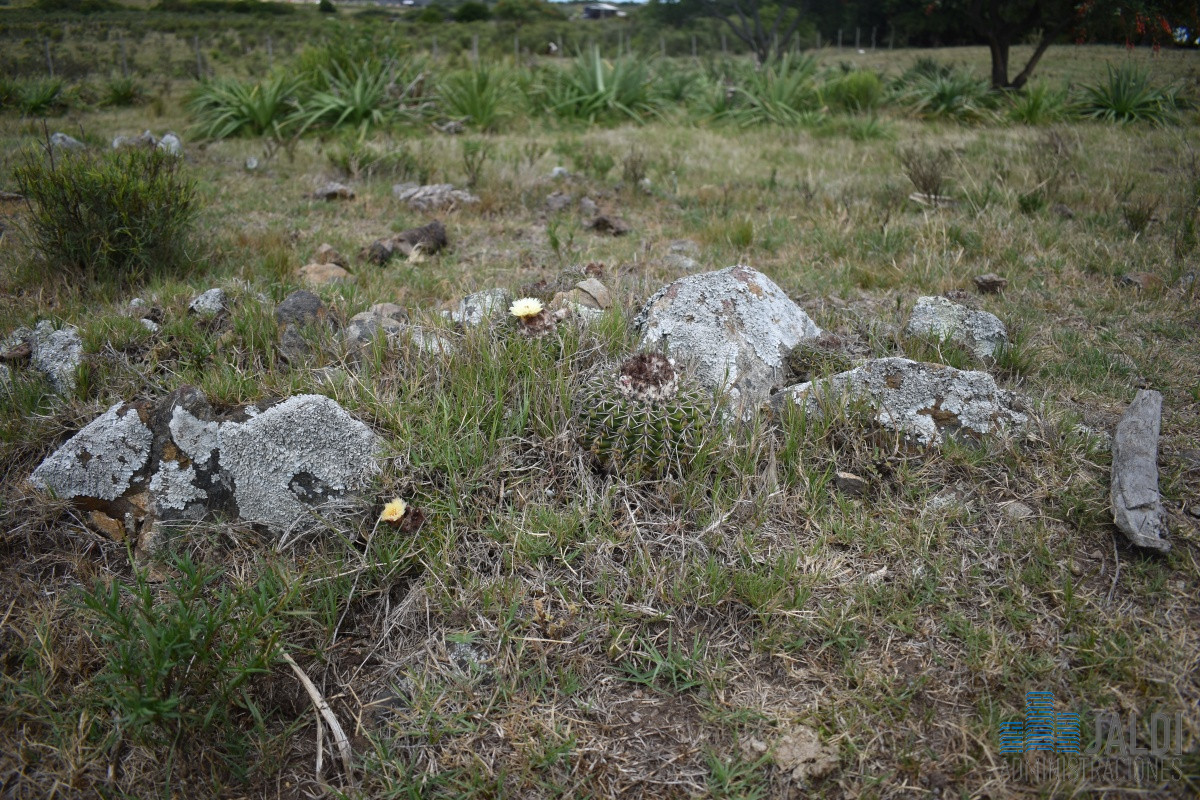 Campo Ref.4 - VENTA CAMPO GANADERO - TURÍSTICO 