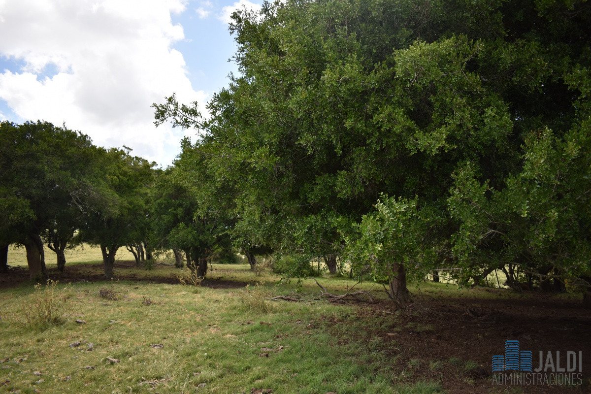 Campo Ref.4 - VENTA CAMPO GANADERO - TURÍSTICO 