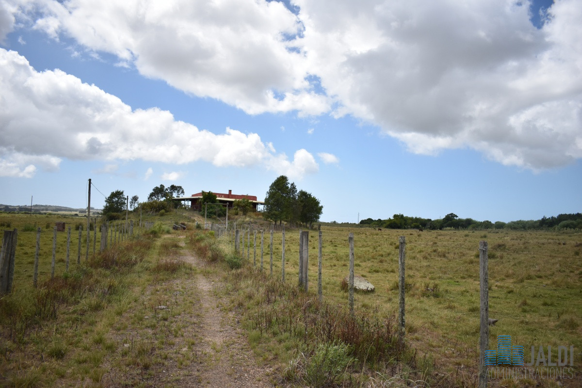 Campo Ref.4 - VENTA CAMPO GANADERO - TURÍSTICO 
