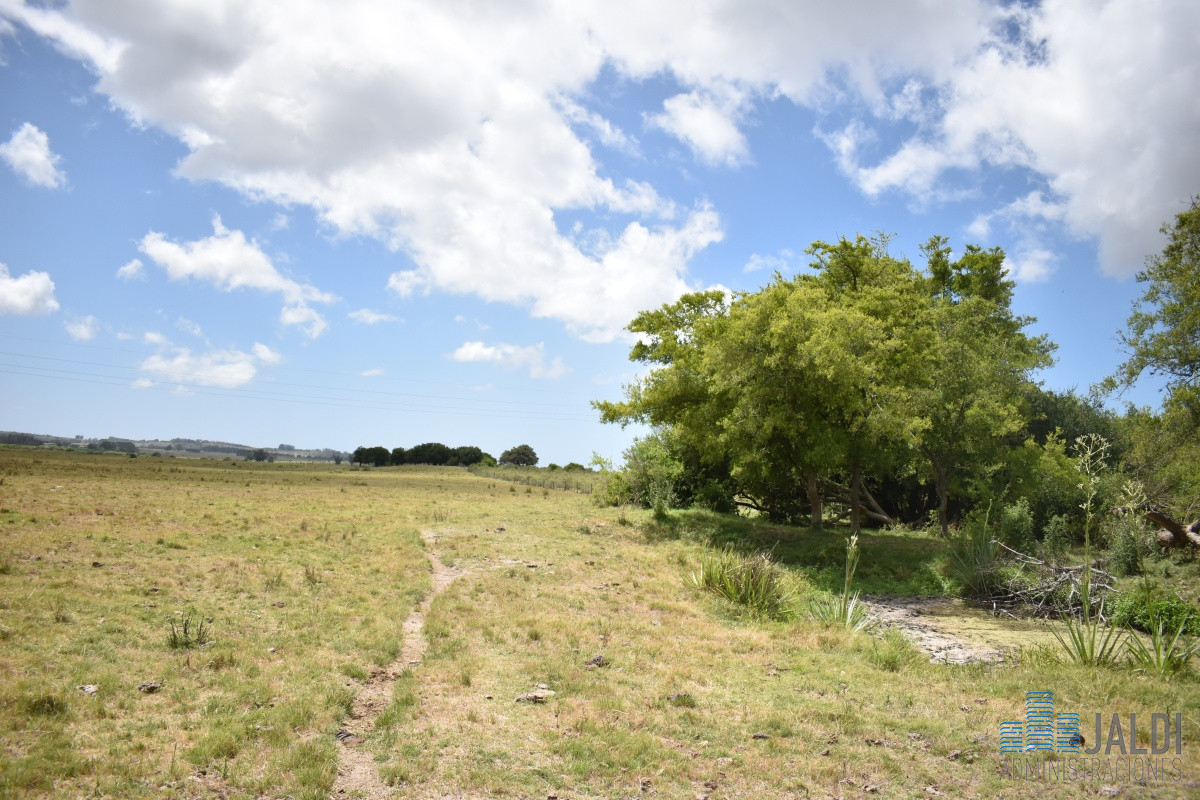 Campo Ref.4 - VENTA CAMPO GANADERO - TURÍSTICO 