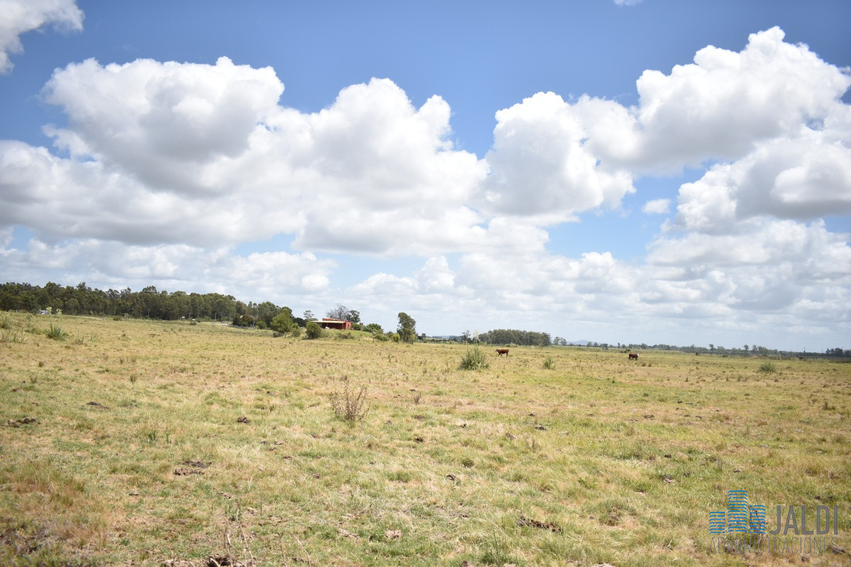 Campo Ref.4 - VENTA CAMPO GANADERO - TURÍSTICO 