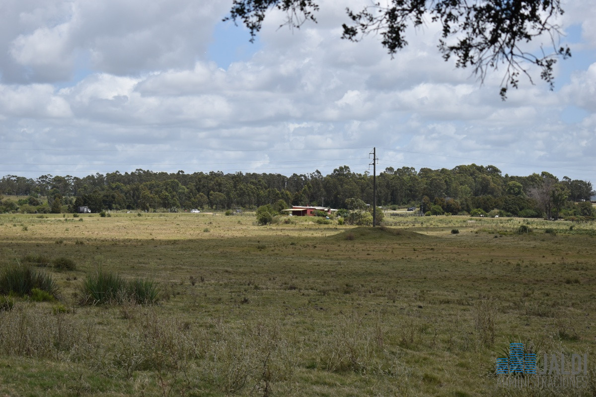 Campo Ref.4 - VENTA CAMPO GANADERO - TURÍSTICO 