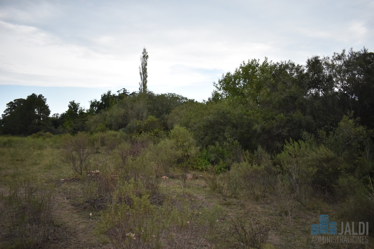 Campo Ref.80 - CAMPO 7 HAS EN VENTA MALDONADO