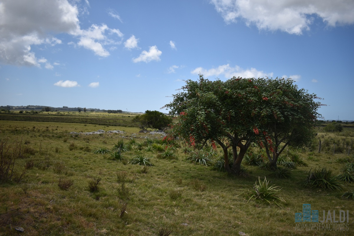 Campo Ref.4 - VENTA CAMPO GANADERO - TURÍSTICO 