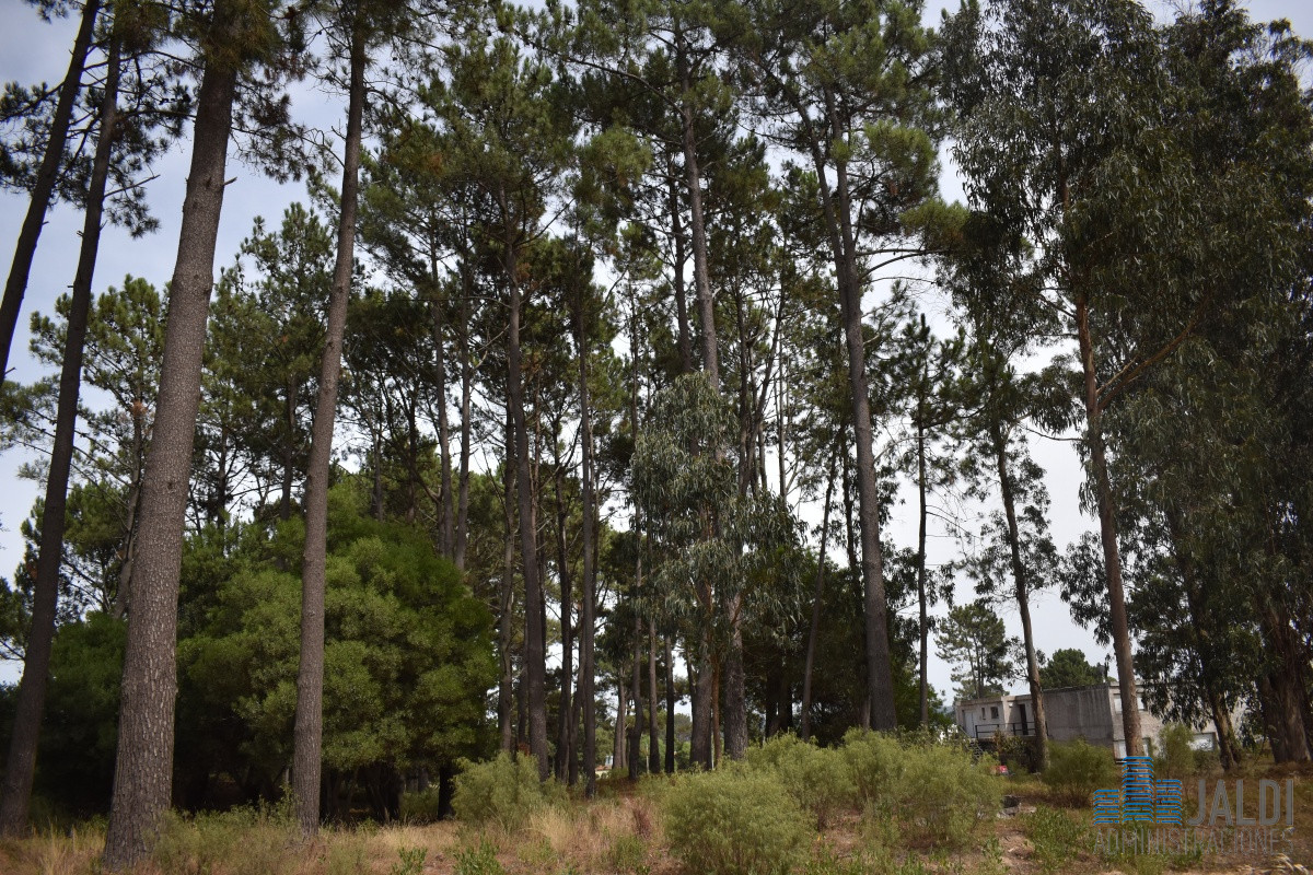 Terreno ID.72 - TERRENO EN VENTA LAUSANA SOBRE AV.LEANDRO GOMEZ