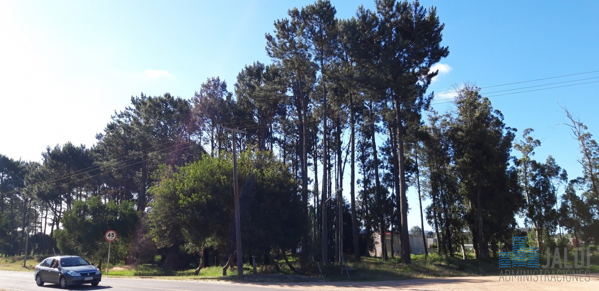Terreno ID.72 - TERRENO EN VENTA LAUSANA SOBRE AV.LEANDRO GOMEZ
