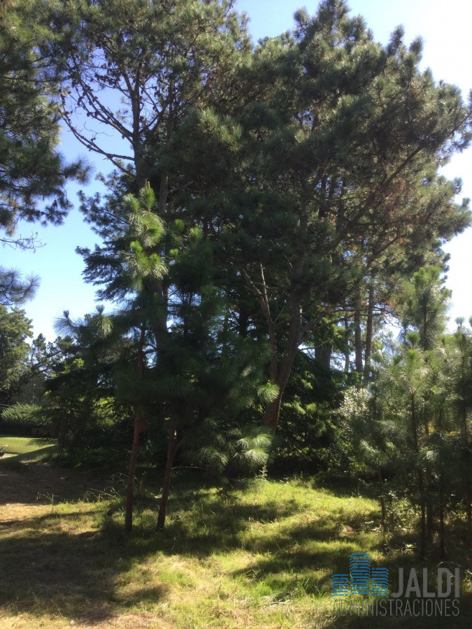 Terreno ID.37 - EN VENTA TERRENO SAN RAFAEL 3400 METROS