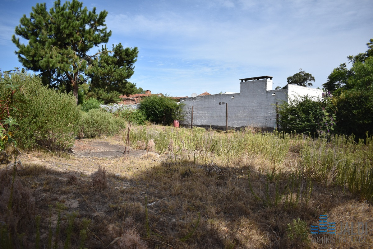 Terreno ID.28 - TERRENO EN ALTOS DEL PINAR 