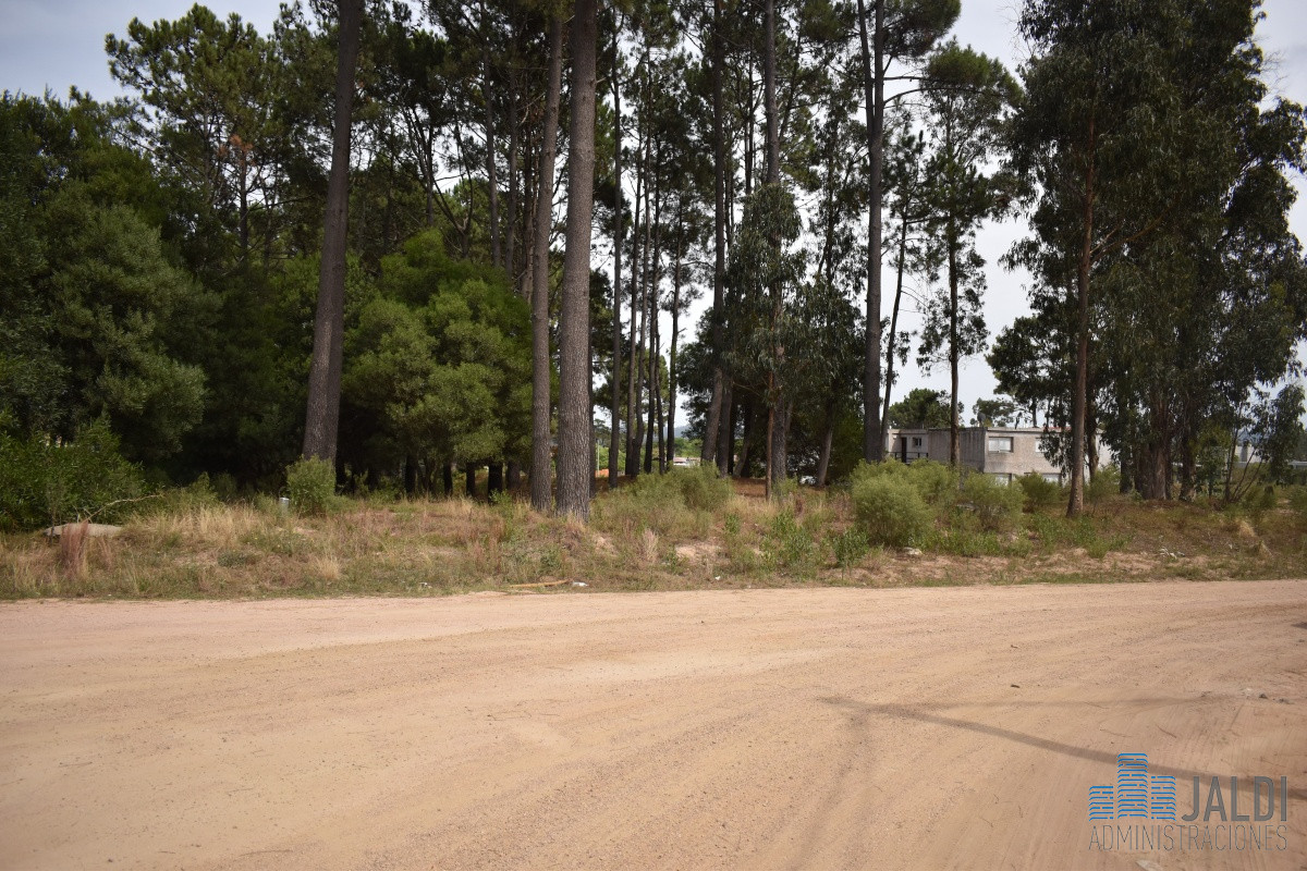Terreno ID.73 - EN VENTA TERRENO SOBRE AV LEANDRO GOMEZ 770M2