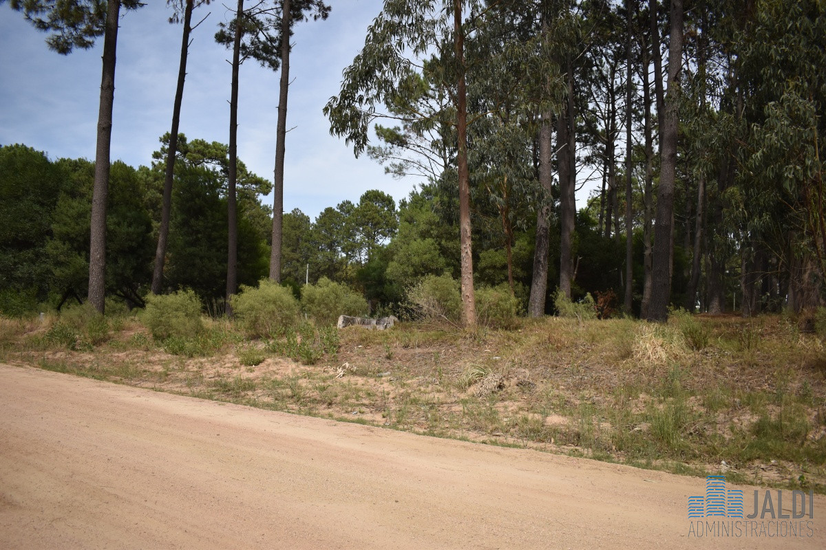 Terreno ID.73 - EN VENTA TERRENO SOBRE AV LEANDRO GOMEZ 770M2