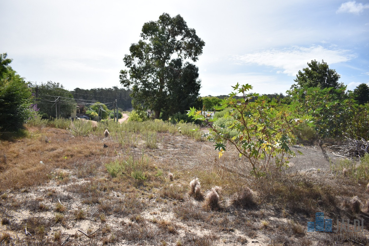 Terreno ID.28 - TERRENO EN ALTOS DEL PINAR 
