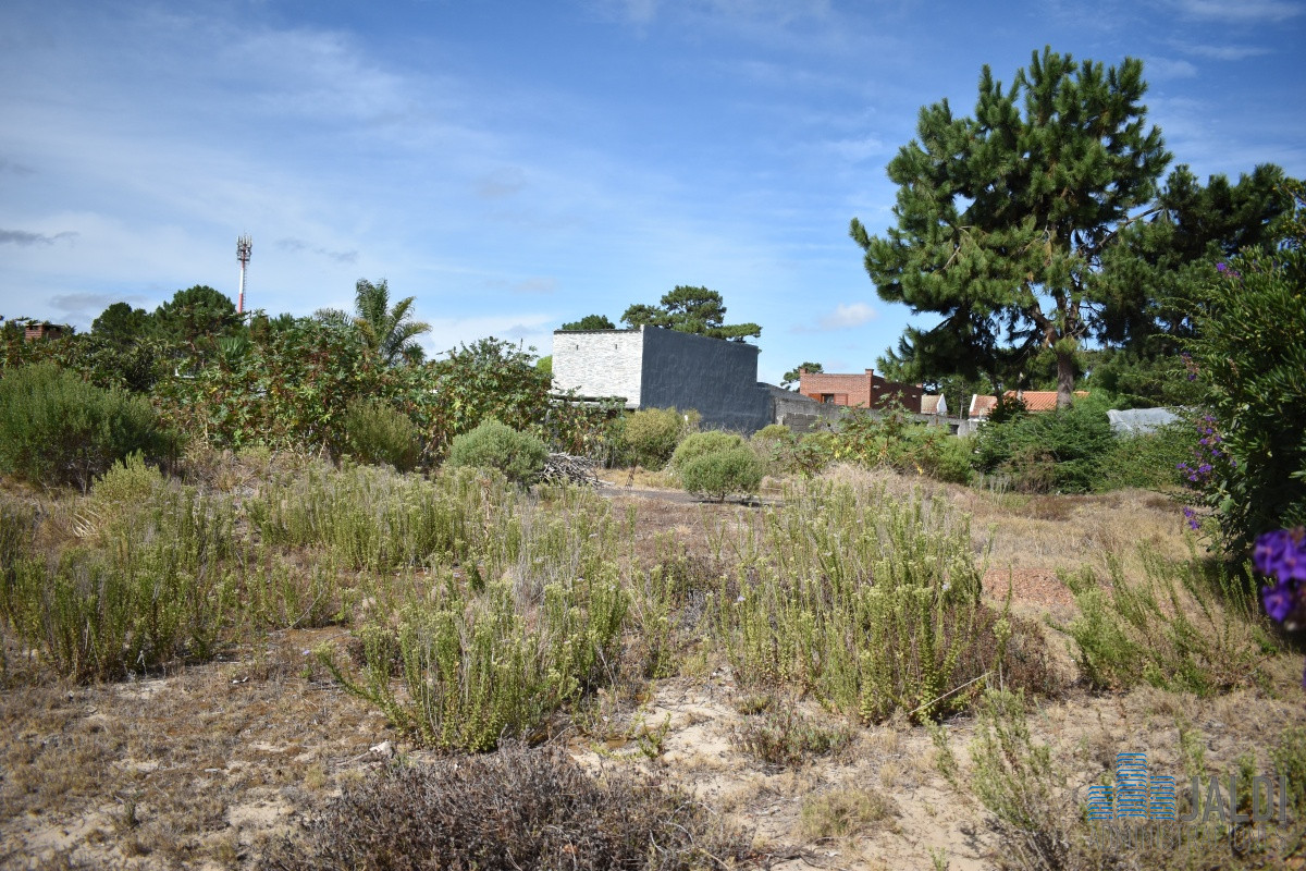 Terreno ID.28 - TERRENO EN ALTOS DEL PINAR 