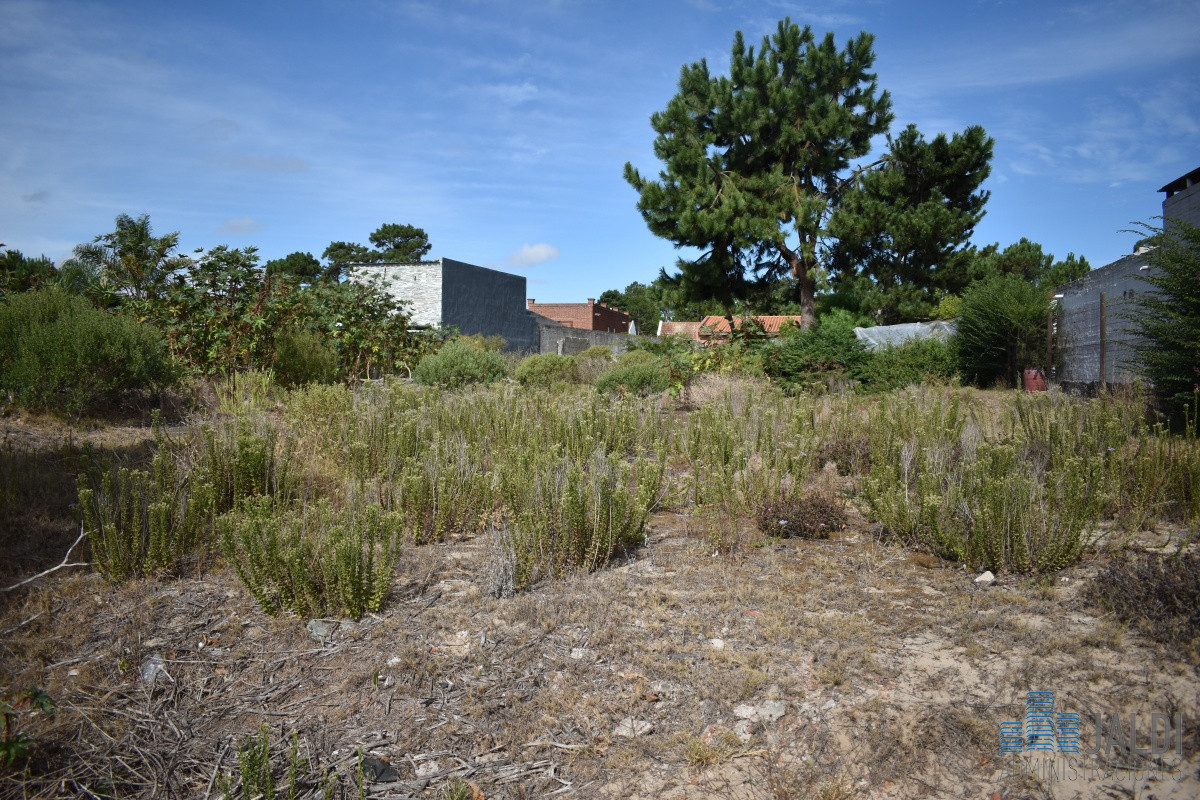 Terreno ID.28 - TERRENO EN ALTOS DEL PINAR 