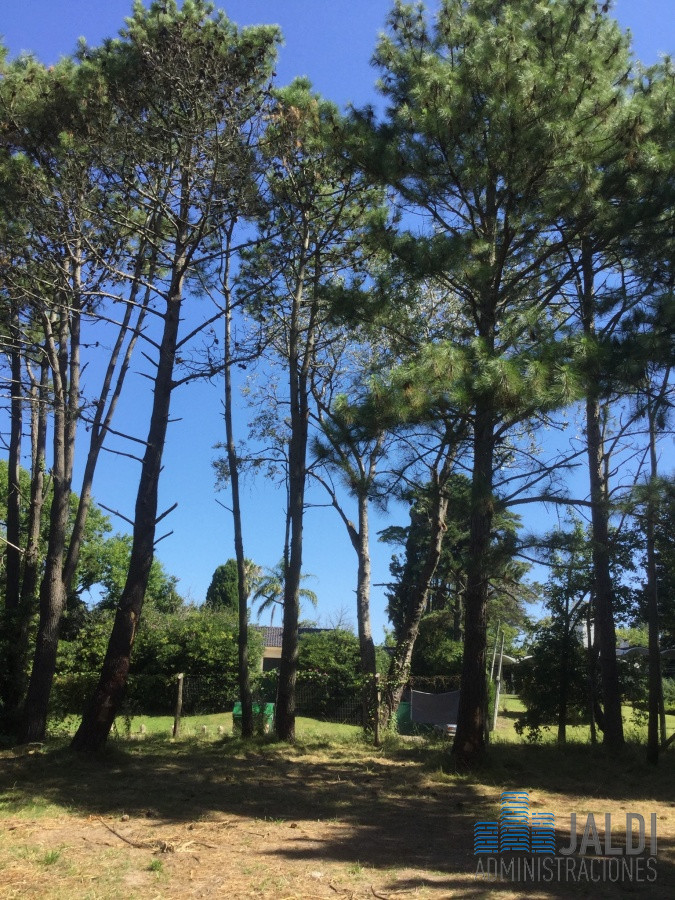 Terreno ID.37 - EN VENTA TERRENO SAN RAFAEL 3400 METROS