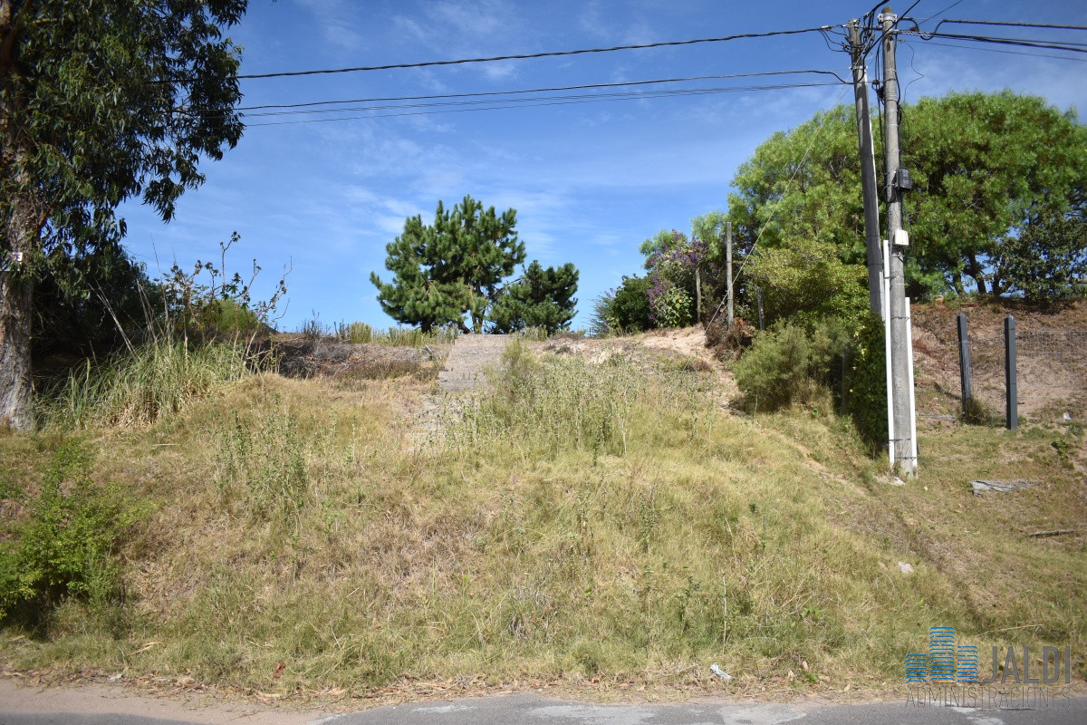 Terreno ID.28 - TERRENO EN ALTOS DEL PINAR 