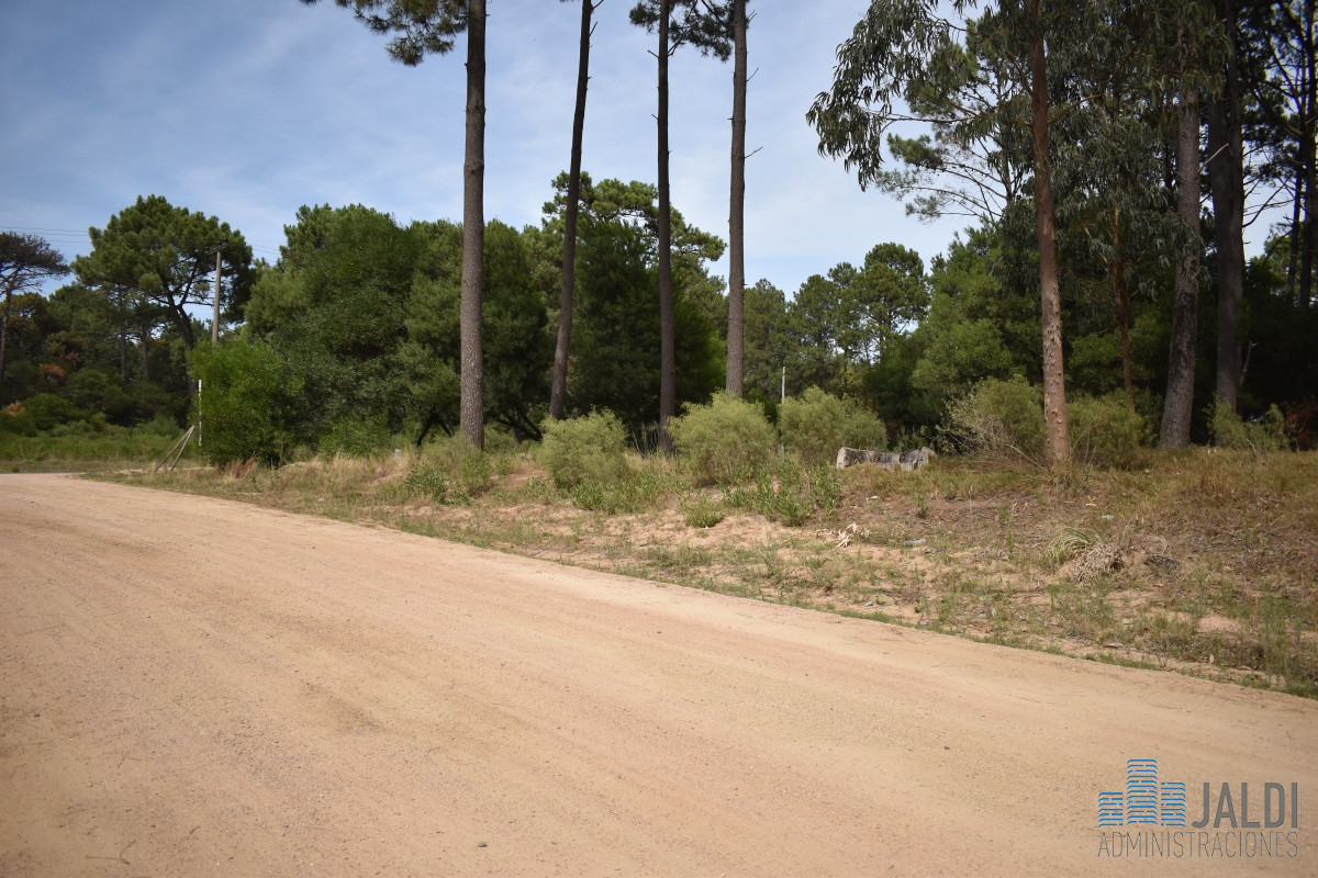 Terreno ID.73 - EN VENTA TERRENO SOBRE AV LEANDRO GOMEZ 770M2