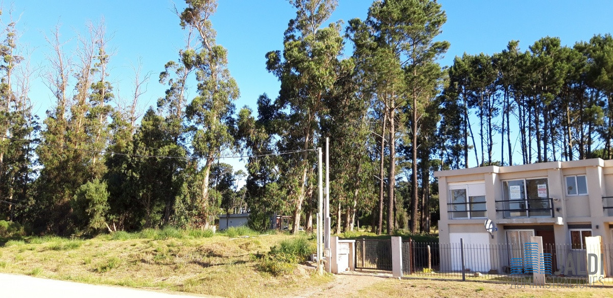 Terreno ID.74 - TERRENO EN VENTA LAUSANA SOBRE CALLE MONTIEL JONO