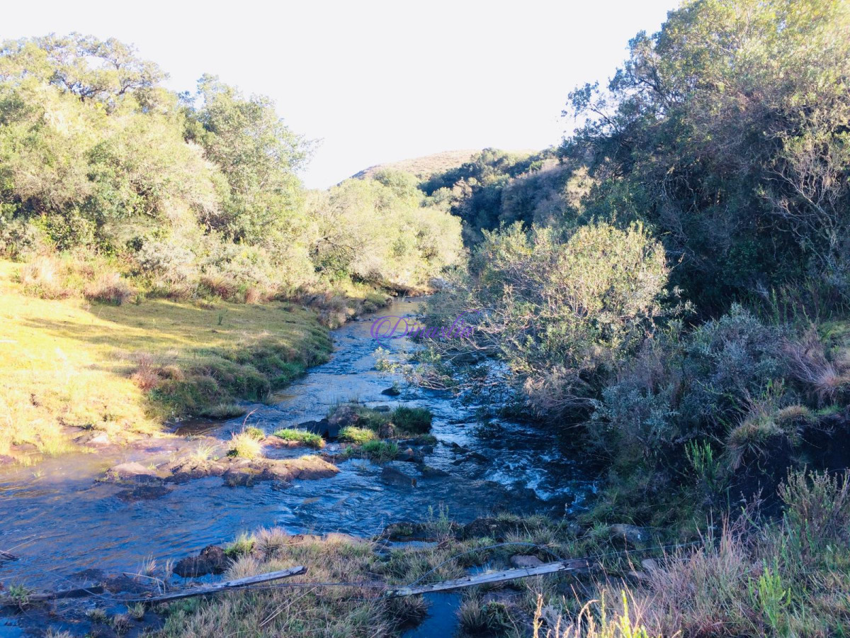 Chacra ID.397 - Venta Campo 12 Hectáreas sobre ruta 12 en Minas, Lavalleja.