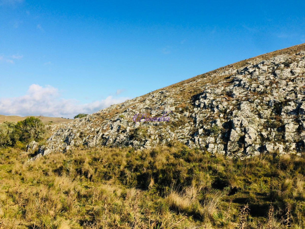 Chacra ID.397 - Venta Campo 12 Hectáreas sobre ruta 12 en Minas, Lavalleja.