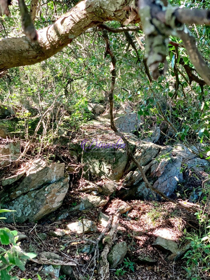 Chacra ID.397 - Venta Campo 12 Hectáreas sobre ruta 12 en Minas, Lavalleja.