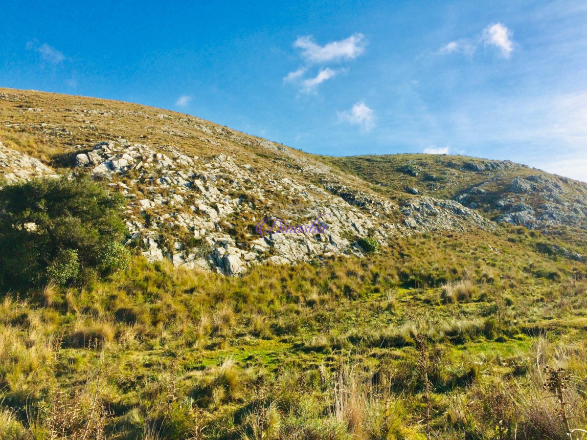 Chacra ID.397 - Venta Campo 12 Hectáreas sobre ruta 12 en Minas, Lavalleja.