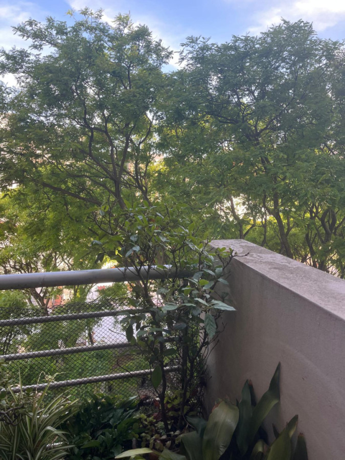 Apartamento ID.5843 - Alquiler Apartamento 1 Dormitorio Pocitos con Balcon 