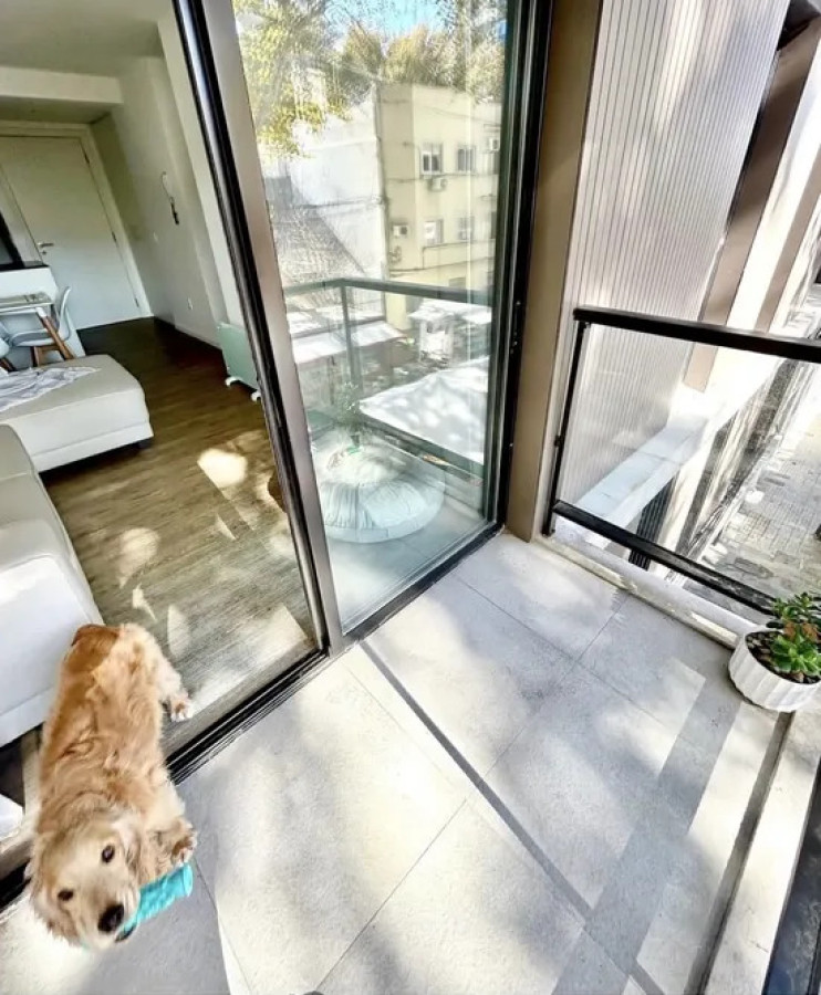Apartamento ID.6119 - Venta con Renta Apartamento 2 Dormitorios Barrio Sur Balcon