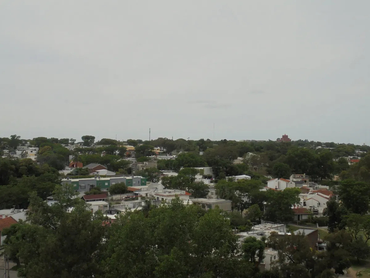 Apartamento ID.5994 - Alquiler Apartamento 1 Dormitorio Prado Raque Posadas