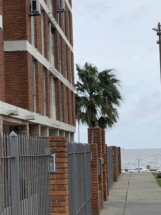 Apartamento ID.6797 - Alquiler Apartamento 3 Dormitorios Barrio Sur con balcon 