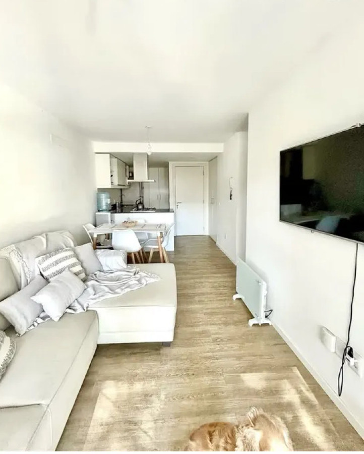 Apartamento ID.6119 - Venta con Renta Apartamento 2 Dormitorios Barrio Sur Balcon