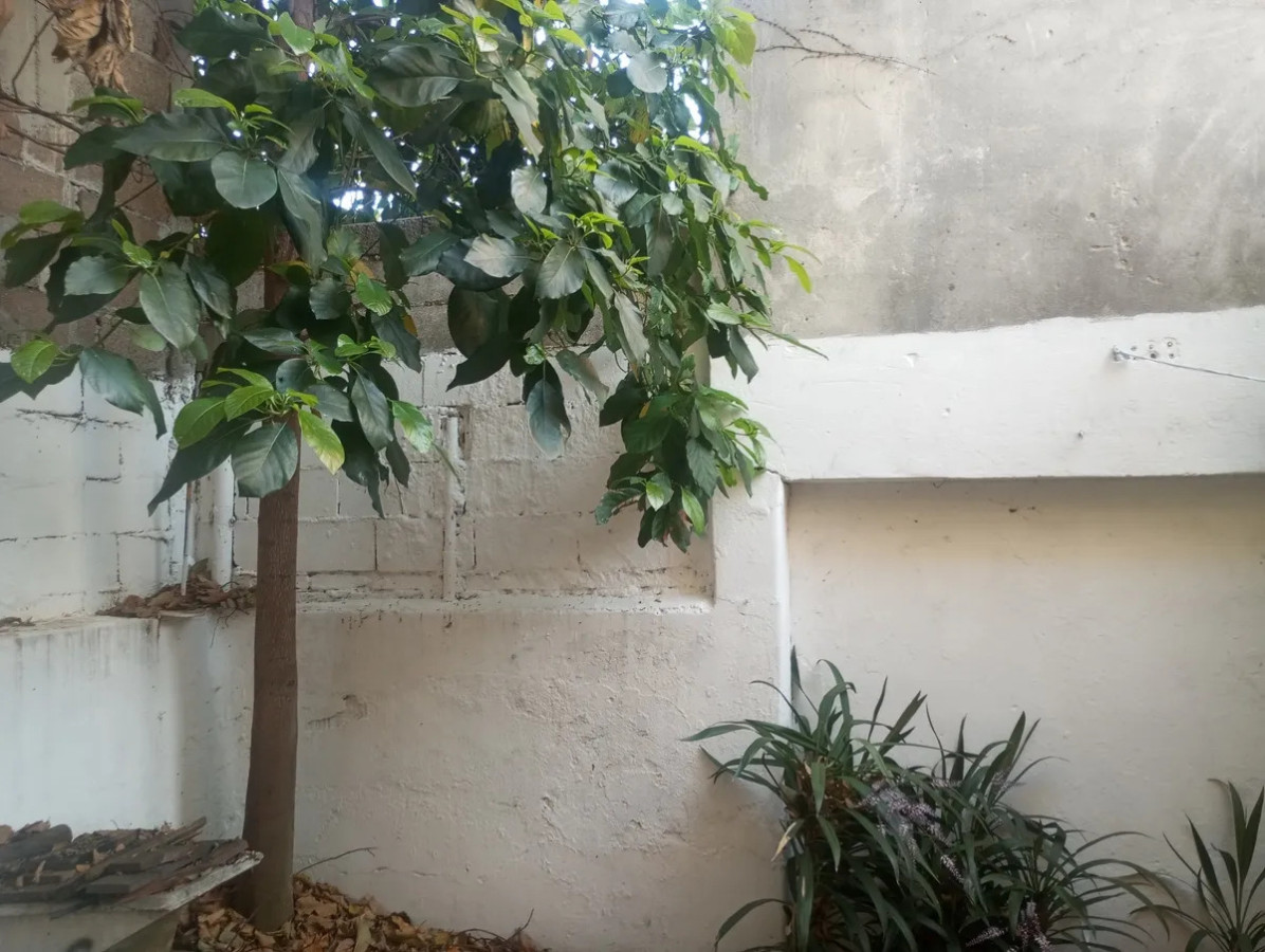 Apartamento ID.5529 - Venta y Alquiler Apartamento 1 Dormitorio Union con patio