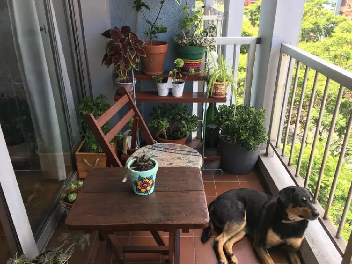 Apartamento ID.5992 - Alquiler Apartamento 2 Dormitorios Aguada con balcon 