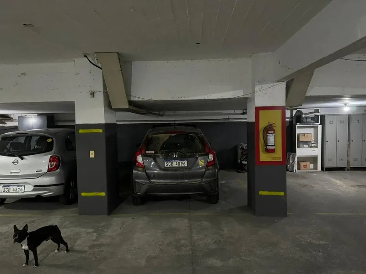 Apartamento ID.6168 - Alquiler Apartamento 2 Dormitorios Punta Carretas cochera