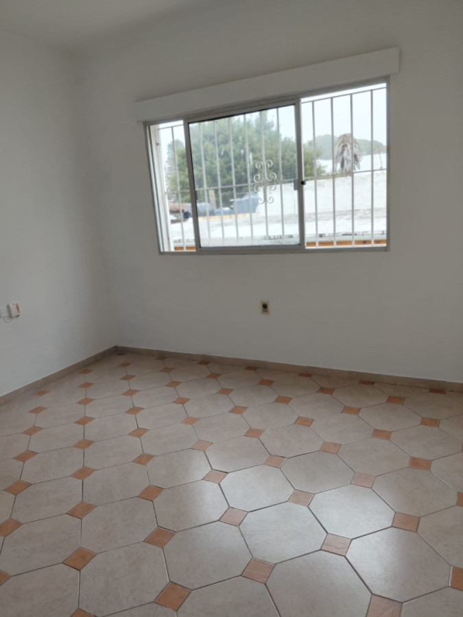 Apartamento ID.6768 - Alquiler Apartamento 2 Dormitorios Malvin 