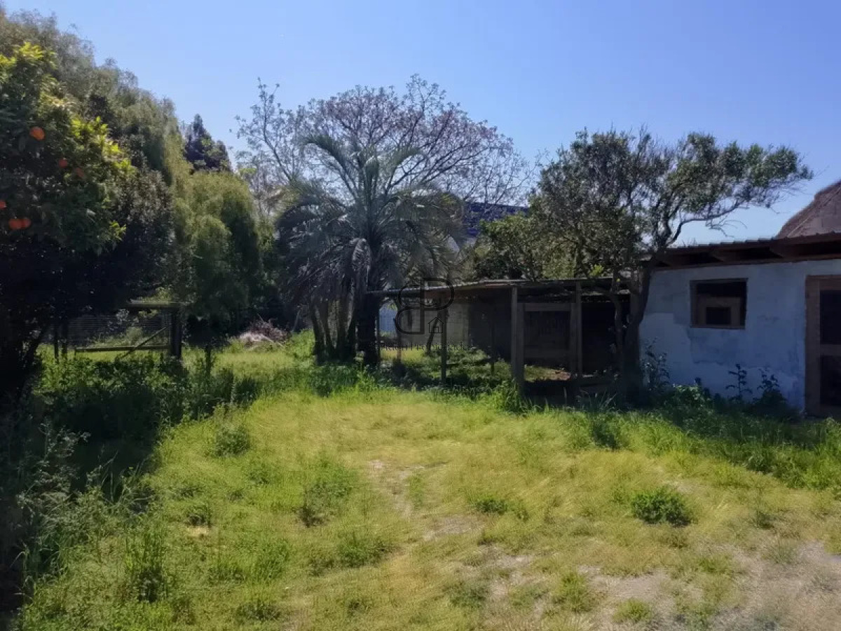 Casa ID.6998 - Alquiler Casa con Terreno 2000m2 y Deposito San Jose de Carrasco