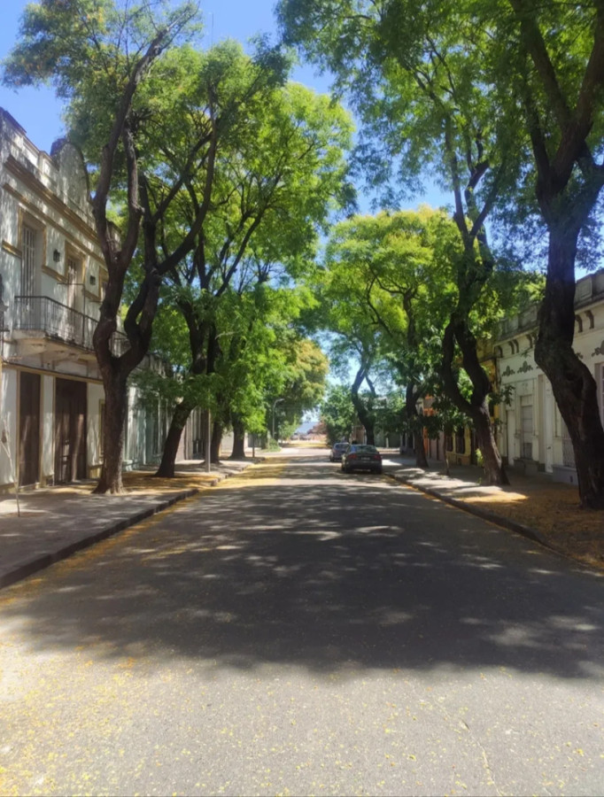 Casa ID.6147 - Venta Casa 8 Dormitorios 2 Cocinas Inversion Bella Vista