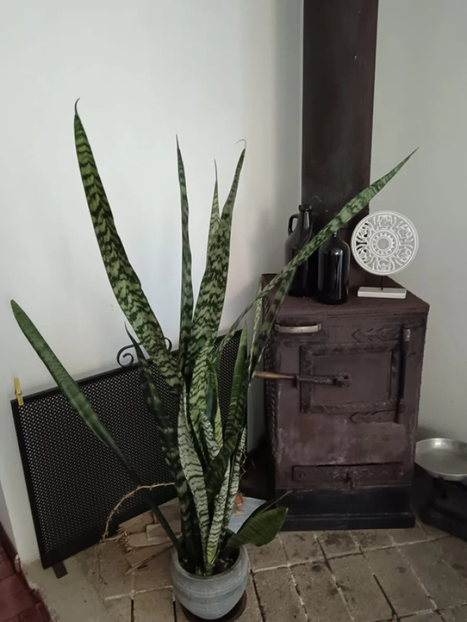 Casa ID.5763 - Venta Gran Casa Padron Unico 5 Dormitorios Cochera y Terraza