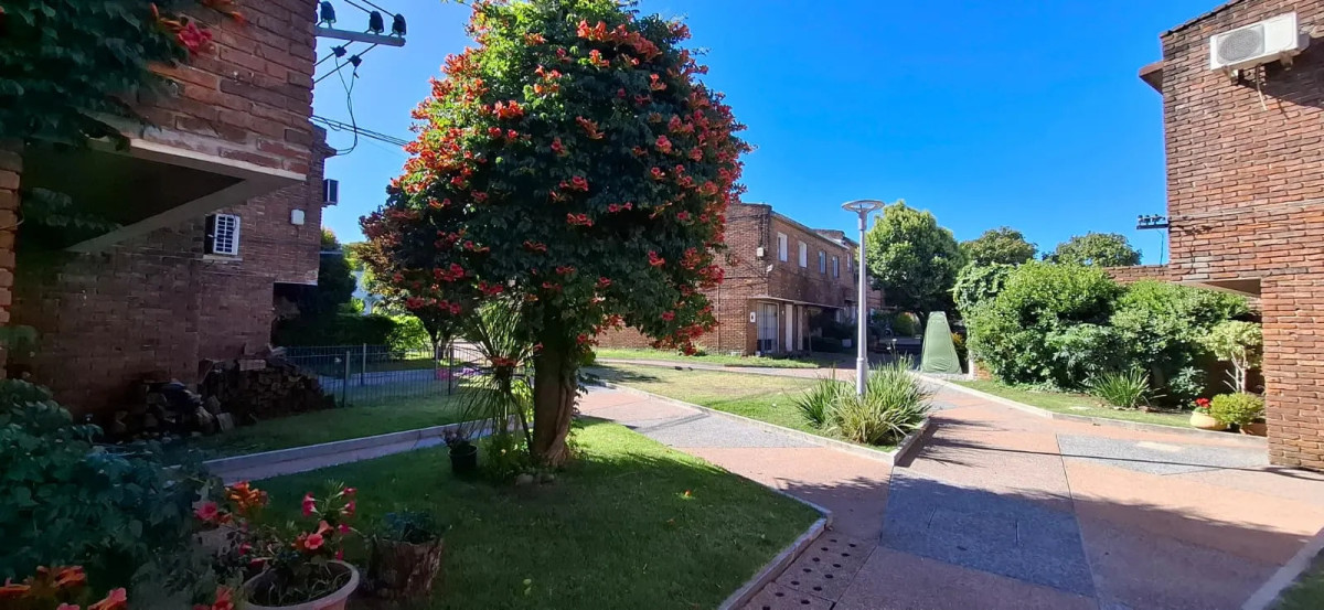 Casa ID.5637 - Alquiler Casa 2 Dormitorios Malvin con jardin y patio 