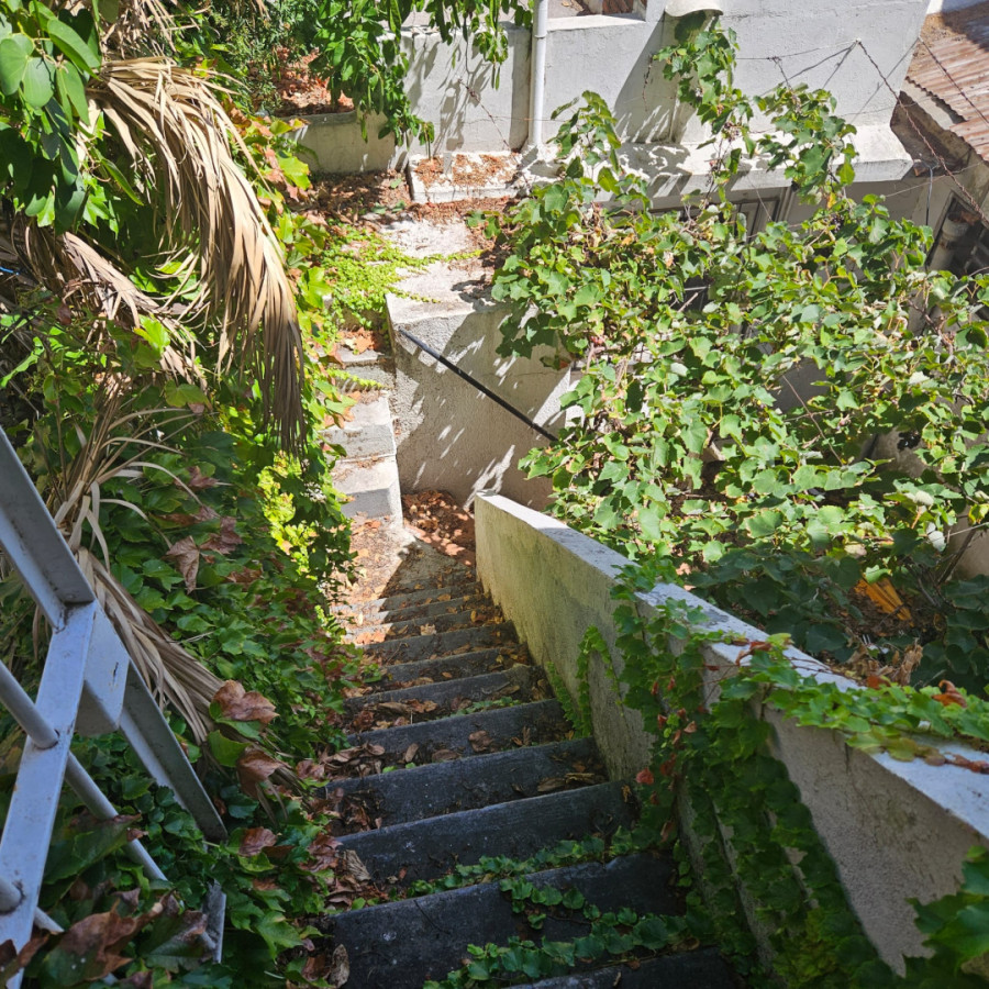 Casa ID.6139 - Venta Casa con Fabrica y Apartamento Bella Vista Inversion