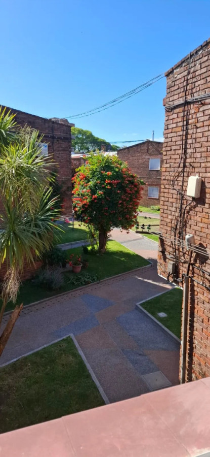 Casa ID.5637 - Alquiler Casa 2 Dormitorios Malvin con jardin y patio 