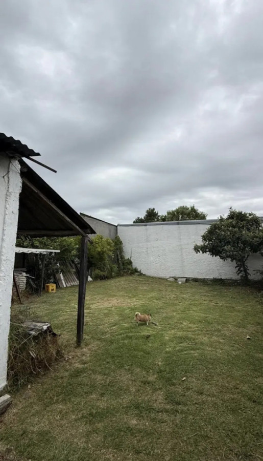 Casa ID.6092 - Venta Padron con 3 Casas Malvin Ideal Inversion 560m2