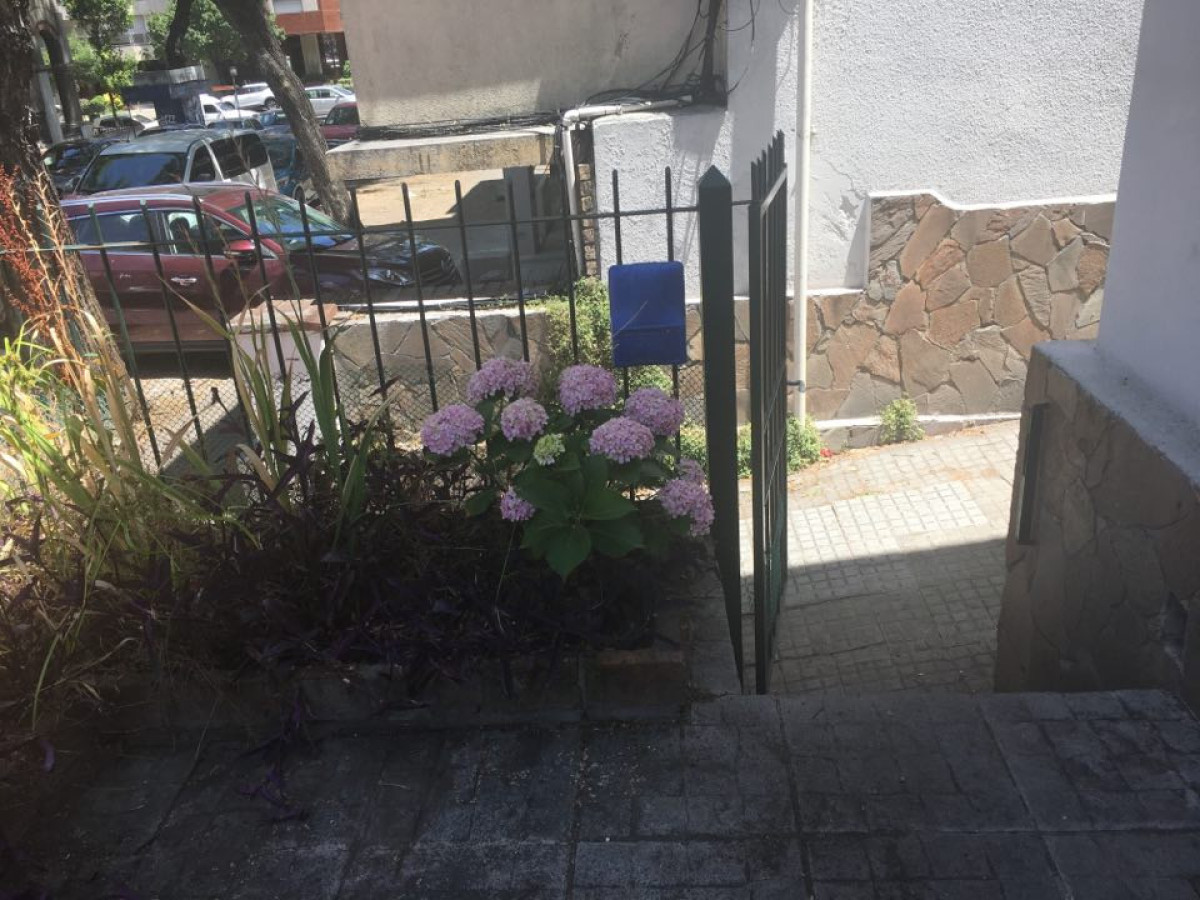 Casa ID.6274 - Alquiler Apartamento 3 Dormitorios Pocitos con patio y garaje