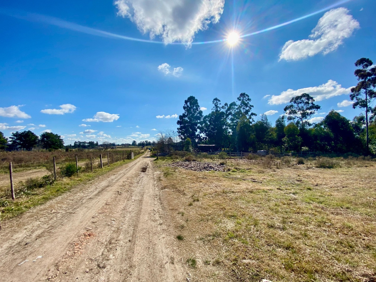Chacra ID.3556 - Venta Terreno 3 hectáreas 2 Casas y Piscina Inversión Pando