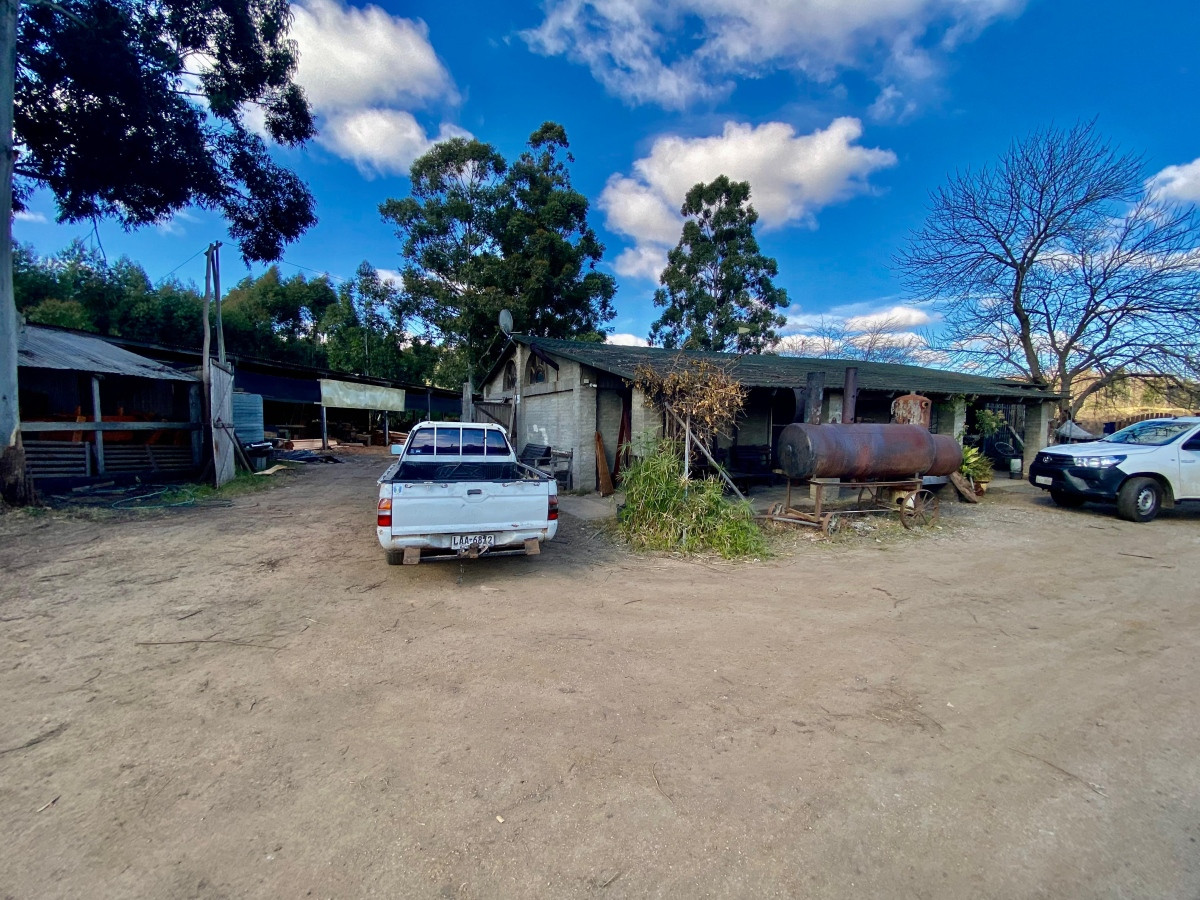 Chacra ID.3556 - Venta Terreno 3 hectáreas 2 Casas y Piscina Inversión Pando