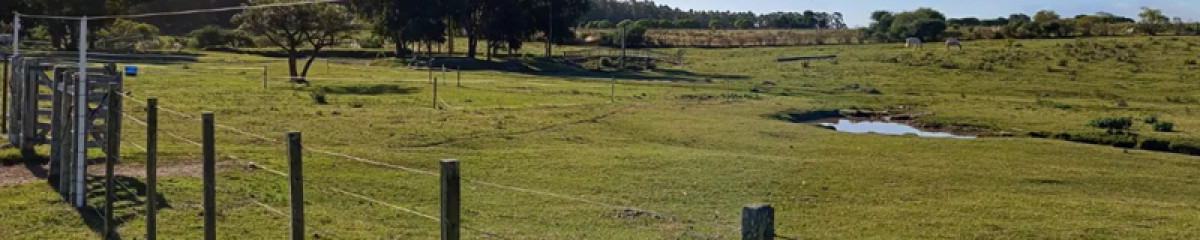 Venta Chacra con Terreno Frente al Rio Santiago Vazquez