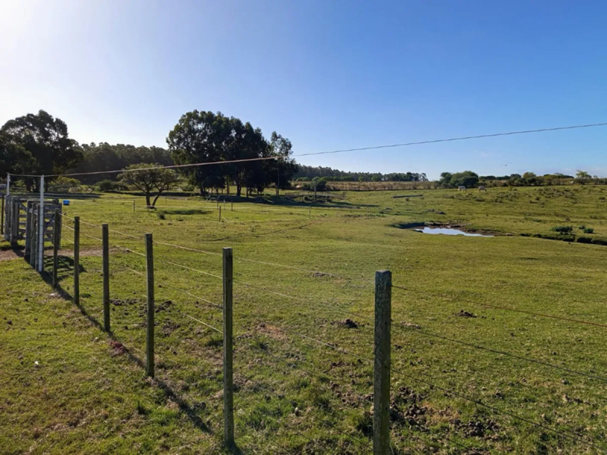 Chacra ID.4812 - Venta Chacra con Terreno Frente al Rio Santiago Vazquez