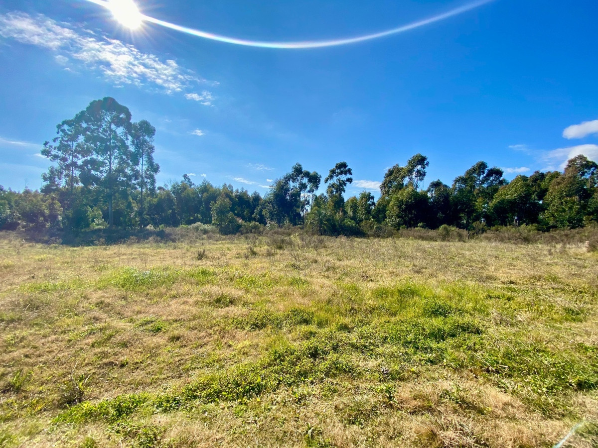 Chacra ID.3556 - Venta Terreno 3 hectáreas 2 Casas y Piscina Inversión Pando